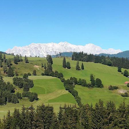 Apartment Hochkoenigblick Pilzegg Embach Екстериор снимка